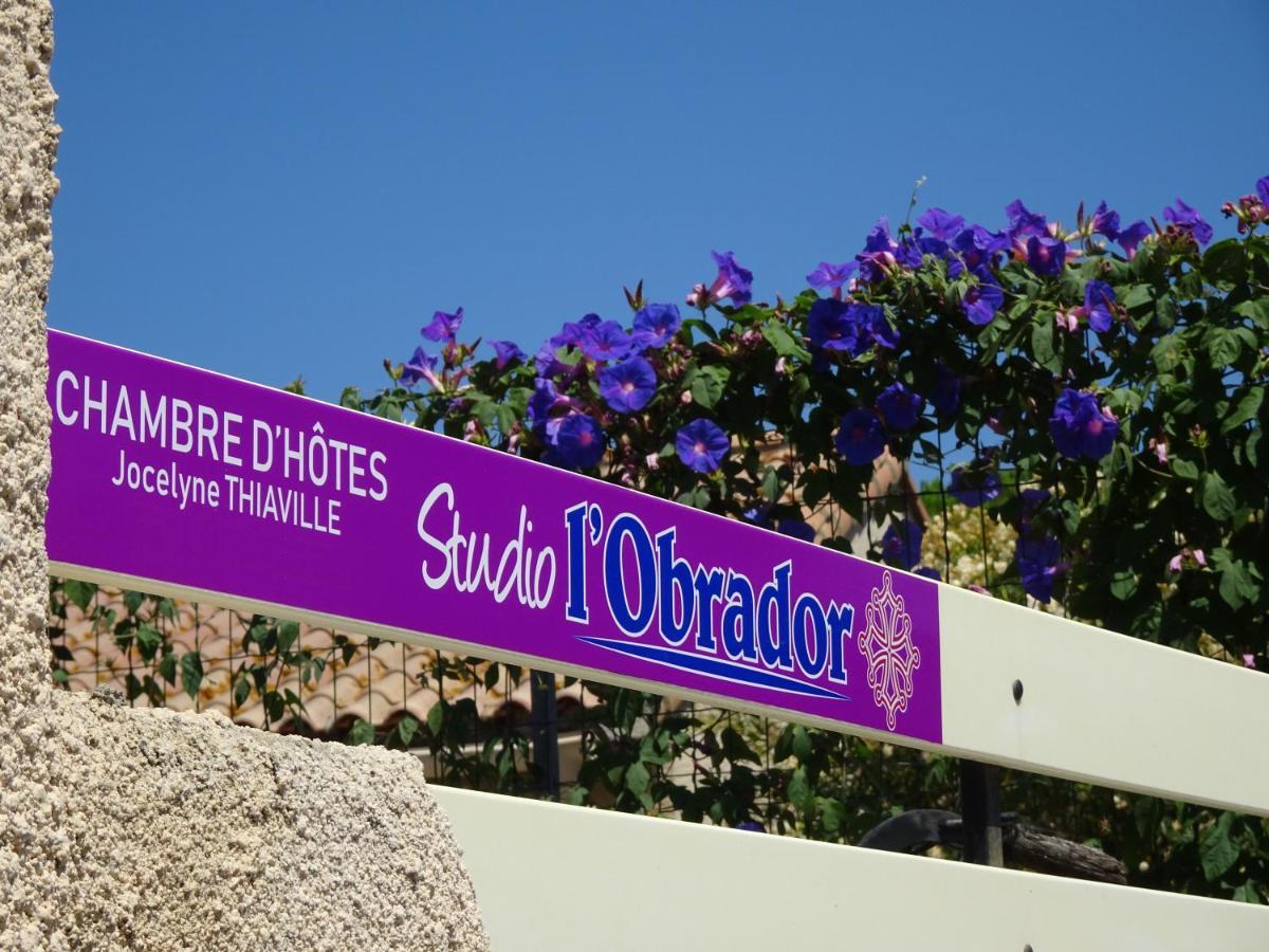 Studio L'Obrador 25 M2 - Cuisine & Terrasse - Acces Piscine Rieux-Minervois 외부 사진